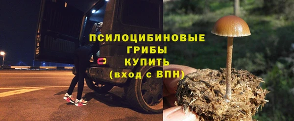 гидра Алексеевка